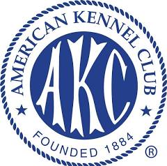 dachshund puppies for sale usa